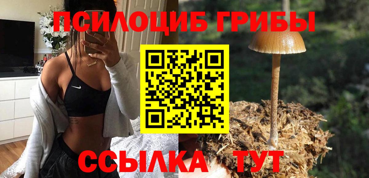 Псилоцибиновые грибы Cubensis Воскресенск