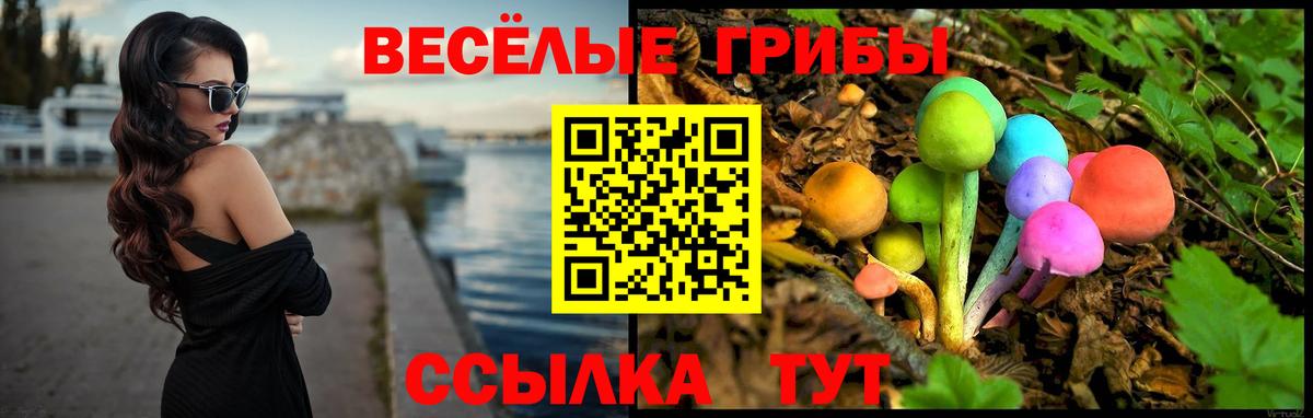 Галлюциногенные грибы прущие грибы  купить наркотик  Воскресенск  Вход с VPN 